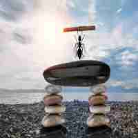 seo方​法‍培‍训​